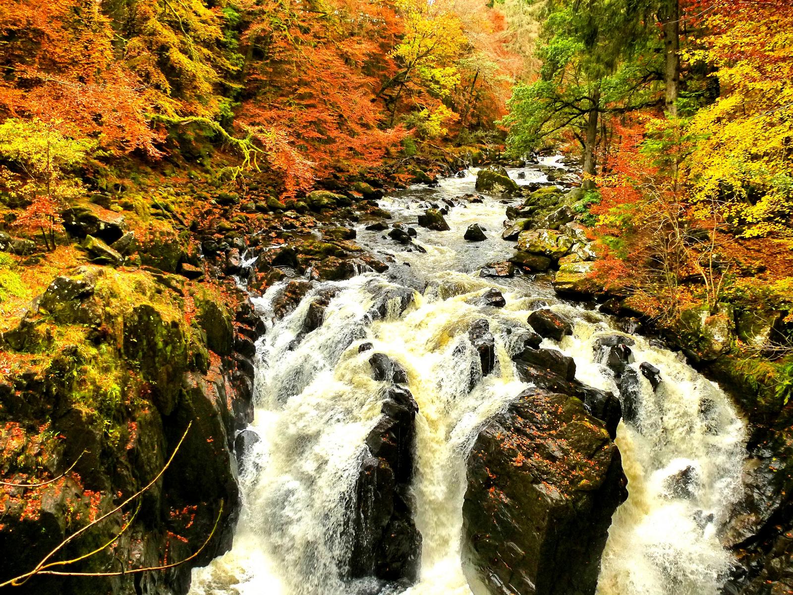 Herbstwandern in Schottland – Braan Walk @ The Hermitage, Dunkeld